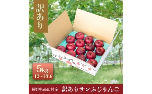 訳ありりんご 5kg(13～18玉)|常温配送・2025年12月以降発送|長野県高山村産【1691163】