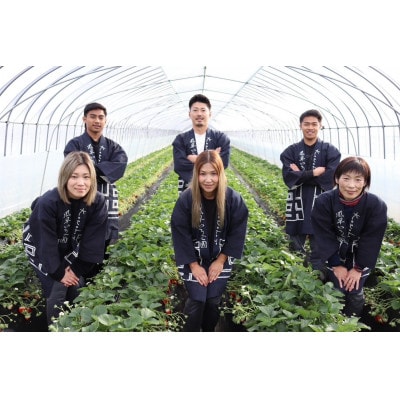 【2026年1月より順次発送予定】風早いちご園 とちおとめ レギュラー 250g×8パック【配送不可地域：離島・北海道・沖縄県・中国・四国・九州】