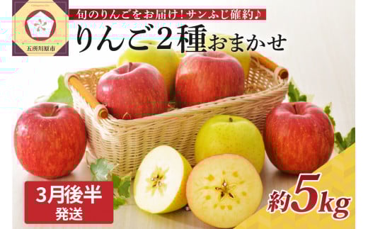 【2026年3月後半発送】 りんご 青森産 約5kg サンふじ 確約 品種おまかせ2種以上 贈答用 特選～特秀