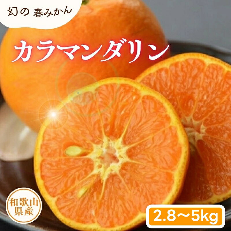 【ふるさと納税】 カラマンダリン 2.8kg 5kg サイズおまかせ / オレンジ みかん 柑橘 果物 湯浅町 田村産 ※2026年4月上旬～5月上旬頃に順次発送予定 (お届け日指定不可) //hassaku