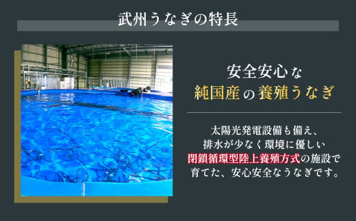 武州うなぎ 国産うなぎ蒲焼 4尾 大サイズ 冷凍真空パック（約600g）【埼玉県 東松山市 母の日 鰻 父の日ウナギ 大容量 誕生日プレゼント 鰻の蒲焼き 特選品 美味しいお取り寄せ 贈り物 グルメ 