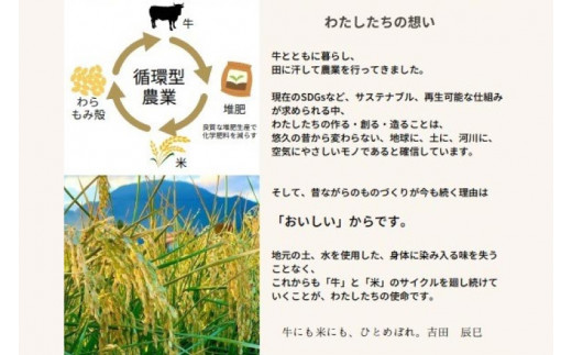 数量限定 令和7年産 「ひとめぼれ」 精米 10kg | 米 お米 コメ 精米 白米 ヒトメボレ 岩手県紫波町 (DZ002) 10kg