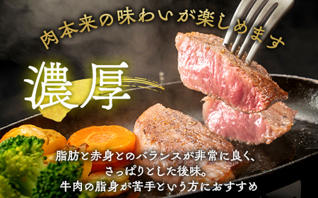 希少 京都産ブランド黒毛和牛 亀岡牛 モモ ステーキ 800g (100g×8枚)≪牛肉 モモ 国産 京都丹波  和牛 冷凍 送料無料 ふるさと納税 牛肉 ≫