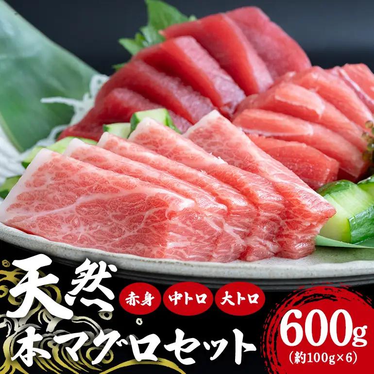 沖縄県産「旬の天然本マグロ」をお届け！天然本マグロセット 600g 99-5