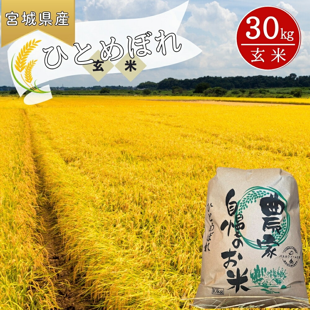【ふるさと納税】 【 令和7年産米先行予約】 【2025年10月中旬～下旬順次発送予定】 ひとめぼれ (玄米) 30kg 新米 宮城県 東松島市 ヒトメボレ 米 玄米 お米 おこめ オンラインワンストップ 自治体マイページ パスカファーム立沼 P