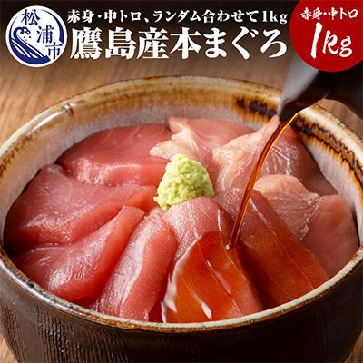 ふるさと納税 松浦市 鷹島産本まぐろ1kg　まぐろ丼のたれ付き
