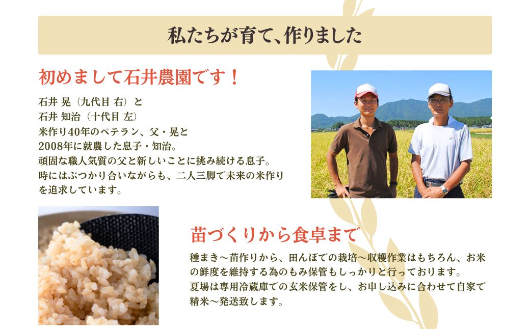 新潟県弥彦村石井農園 令和7年産コシヒカリ＜白米 10kg＞ | 新潟県 弥彦村