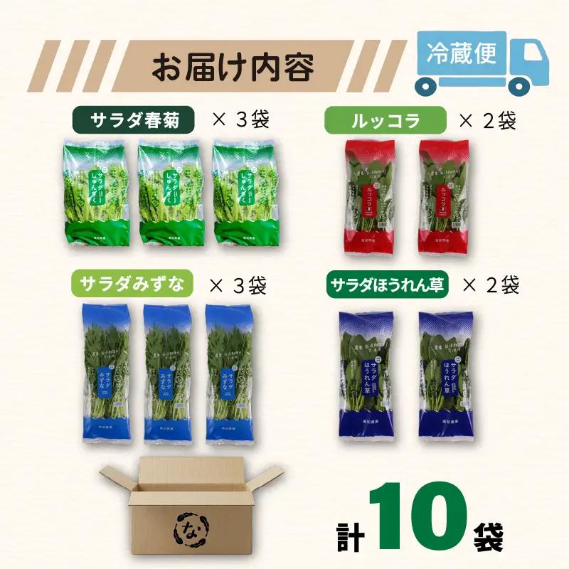 【先行予約】 4種セット 春菊 みずな ほうれん草 ルッコラ (2026年11月～発送)  | 水菜 水耕 葉物 野菜 南国市