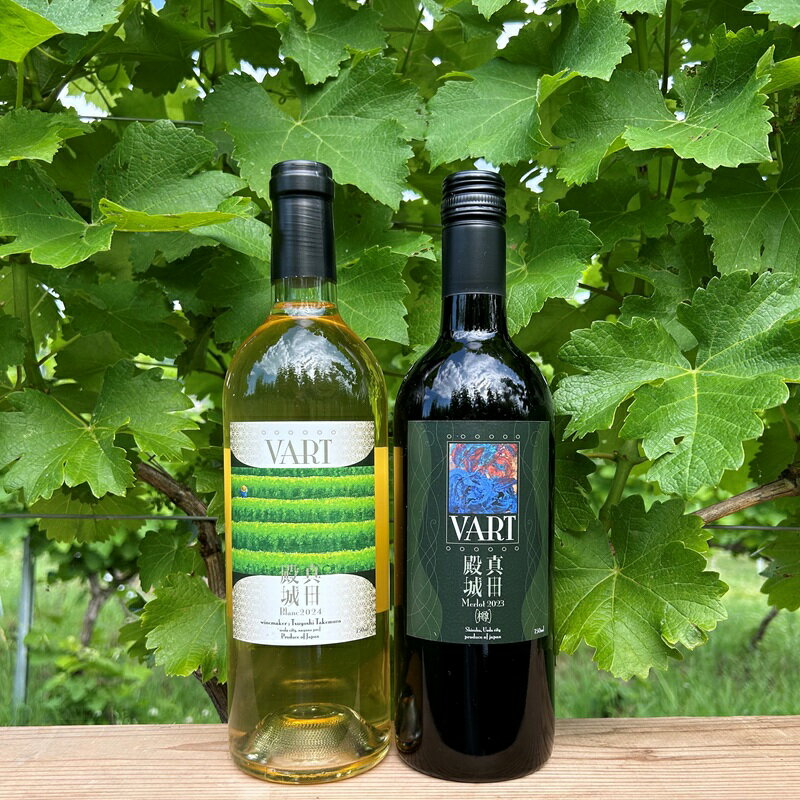【ふるさと納税】【長野県上田市産ぶどう100％】VART 赤ワイン＋白ワインセット　お届け：2025年12月下旬まで