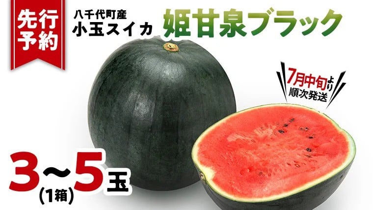 
            【先行予約 2026年7月中旬発送】先行予約 小玉スイカ 姫甘泉ブラック 1箱（３～5玉入り）八千代町産  黒皮 すいか スイカ 西瓜 小玉 果物 フルーツ お取り寄せ 産地直送 茨城県 [AV003ya]
          