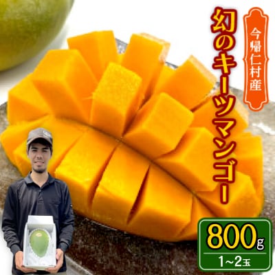【2027年8月下旬から順次発送】仲本マンゴー園の幻のキーツマンゴー800g(1～2玉)【配送不可地域：離島】