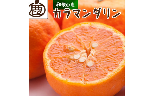 
            ［先行予約］厳選 カラマンダリン5kg+250g（傷み補償分）［南津海・なつみ］［希少な春柑橘］［みかんと同じように食べられます］［IKE67］
          