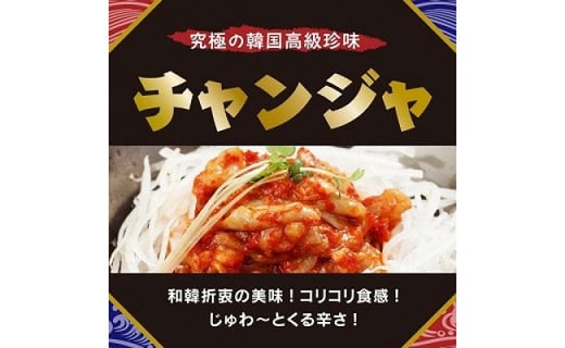 海龍 韓国 セット キムチ コチュジャン タレ