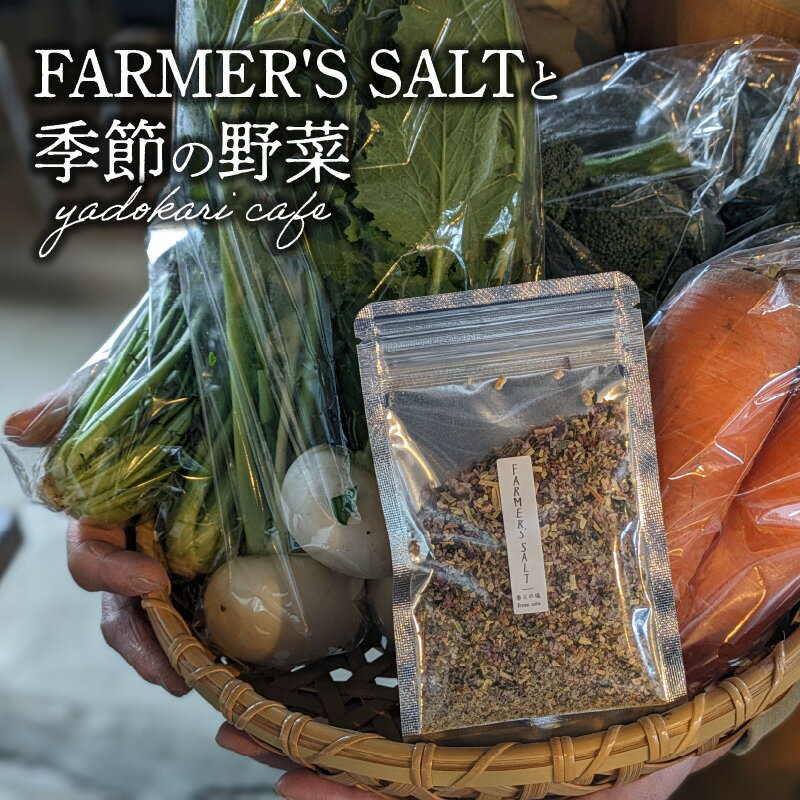 【ふるさと納税】FARMER'S SALT＋季節の野菜6種類　スパイス 調味料 岩塩 塩 ソルト 調味料 トッピング ベジタブル 農薬不使用 無農薬野菜 粉末 にんにく ブラックペッパー 料理 岩塩 調味料 K10028