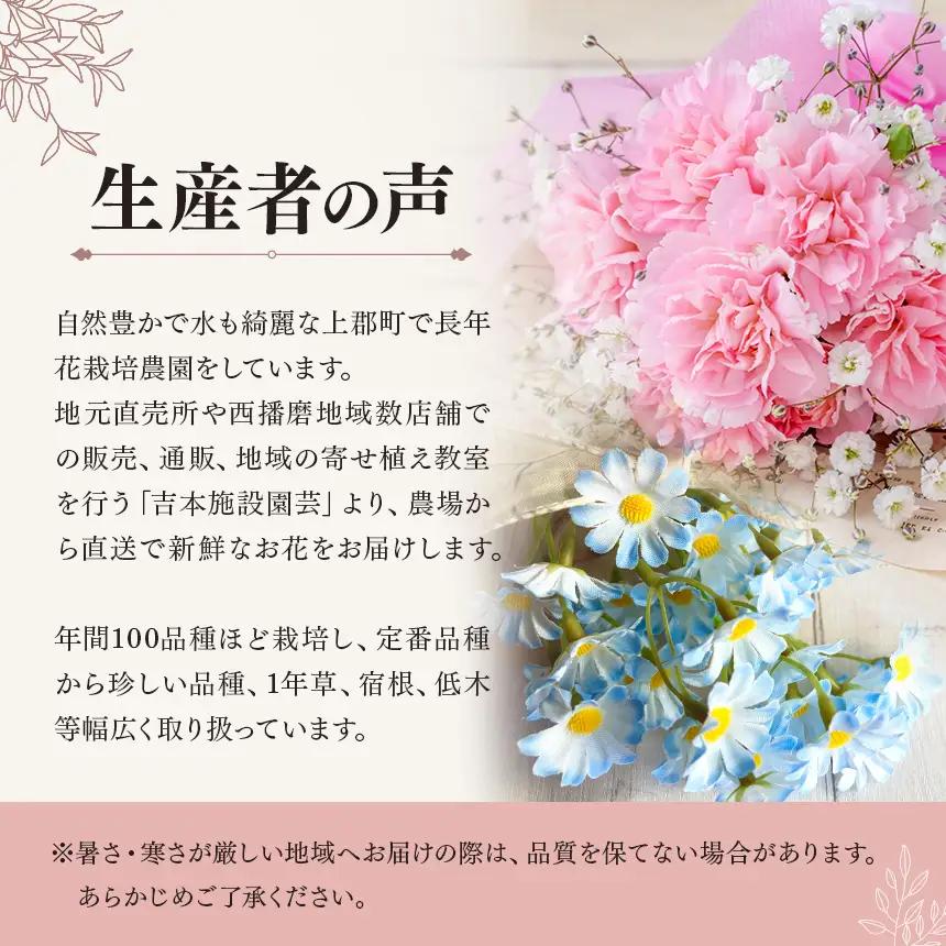 お花一杯バスケット寄せ植え Lサイズ(35cm程度) 季節の寄せ植え | お花 フラワー バスケット ガーデニング 寄せ植え 兵庫県 上郡町
