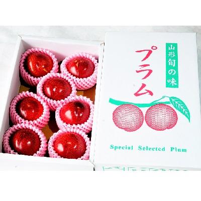 ふるさと納税 上山市 すもも(貴陽)1.2kg　ご家庭用　0012-2507 |  | 01