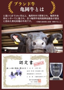 【6回定期便】亀岡牛 牛肉お楽しみセット 木曽精肉店 牛肉