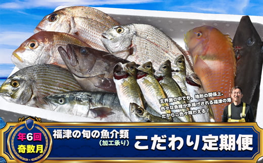 
【年6回奇数月】福津の旬の魚介類こだわり定期便【加工承り】【随時開始】[E6480a]
