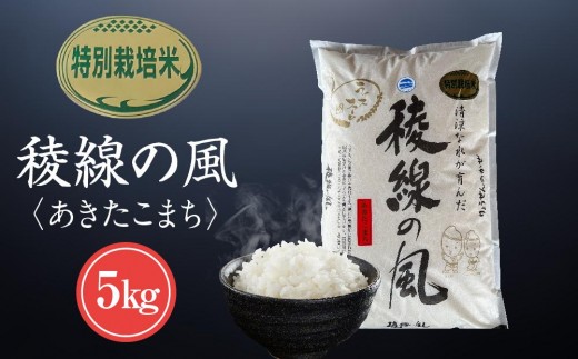 特別栽培米　稜線の風（あきたこまち） 5kg｜米  国産米 長野県産 人気 おすすめ お米 白米 減農薬 ごはん 和食 健康 送料無料 長野県 大町市 ふるさと納税