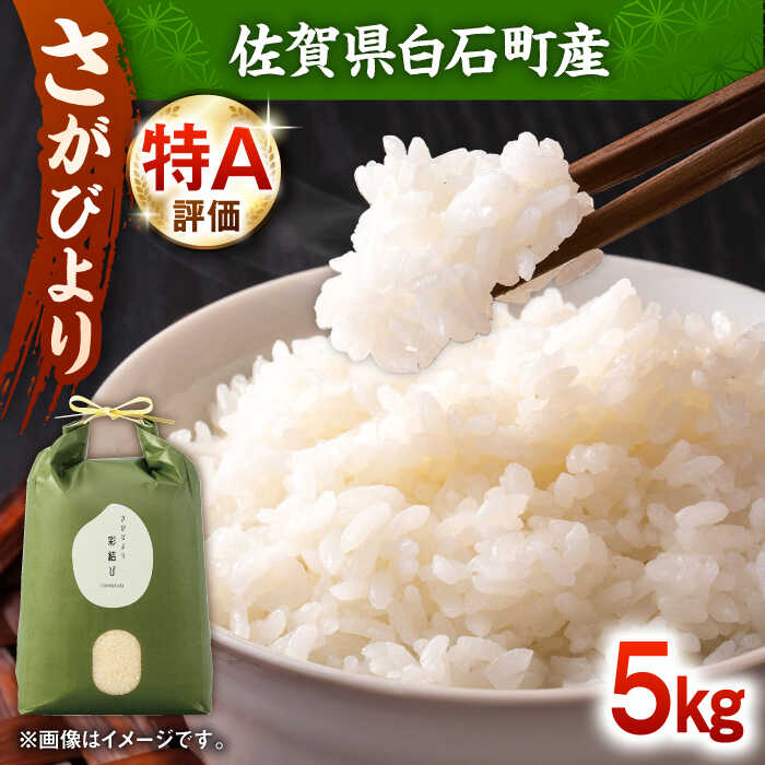 【ふるさと納税】【令和7年産】 さがびより 5kg【ちわたのふぁーむ】 米 5kg 精米 特A 特A評価 佐賀県産 国産米 コメ こめ お米 白米 ブランド米 さがびより 九州 佐賀県 白石町 人気 おすすめ 白石 令和8年発送[IDE001]