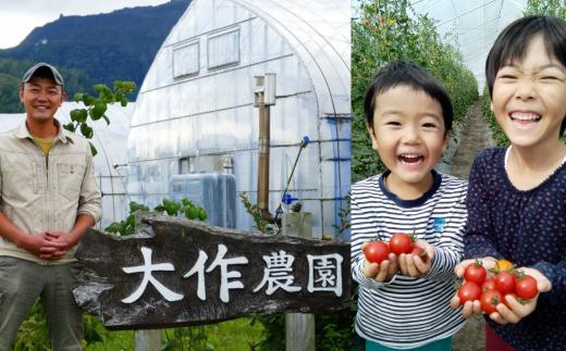 ＜2026年7月上旬よりお届け＞北海道壮瞥産 大作農園のカラフルミニトマト約1.5kg(5種以上) SBTR002
