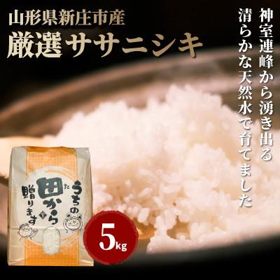 ふるさと納税 新庄市 新米　令和8年産　厳選ササニシキ(精米)5kg