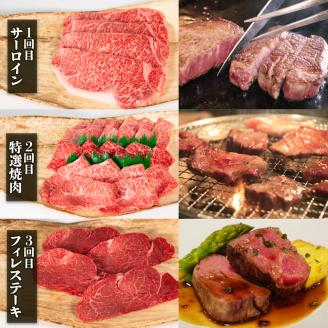 定期便 6回 近江牛 計4080g 冷凍 サーロイン 特選 焼肉 フィレ ランプ 黒毛和牛 ブランド 近江牛 三大和牛 贈り物 ギフト プレゼント 滋賀県 竜王 岡喜 日本三大和牛