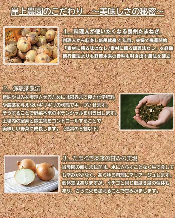 ＜2026年5月中旬順次発送 先行予約＞岸上農園　泉州玉ねぎ　約１０kg（043_5002）