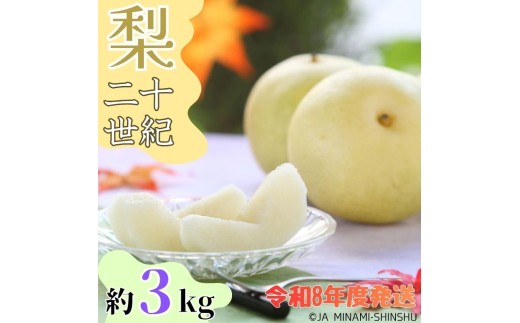 8-J33 【南信州産】20世紀梨 太鼓判 約3kg　8玉～10玉
