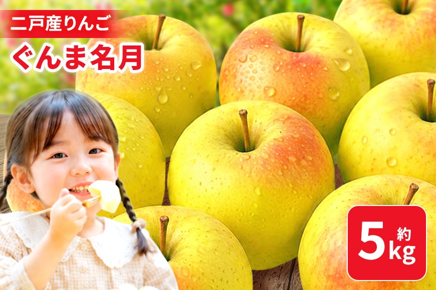 
                  二戸産りんご ぐんま名月 約5kg
                
