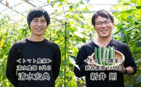 トマト&きゅうりセット 埼玉県産 計約2kg | トマト きゅうり 桜国屋