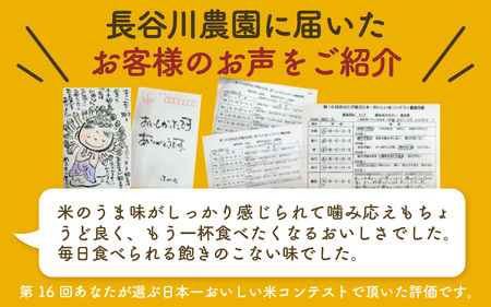 【令和7年産 新米】定期便《6ヶ月連続お届け》精米 にこまる 5kg×2袋 10kg（計60kg）＜低農薬栽培＞ ／ 高品質 鮮度抜群 福井県 あわら市産 ブランド米 白米 お米 米 [aw066-k