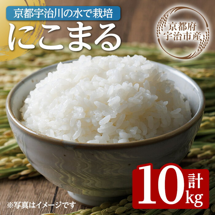 【ふるさと納税】＜数量限定・宇治市産＞＜令和7年産＞にこまる(10kg) 米 10kg にこまる ツヤ 甘み 粘り バランス 給食 弁当 巨椋池 琵琶湖 宇治川 大粒 【uj-FS001】
