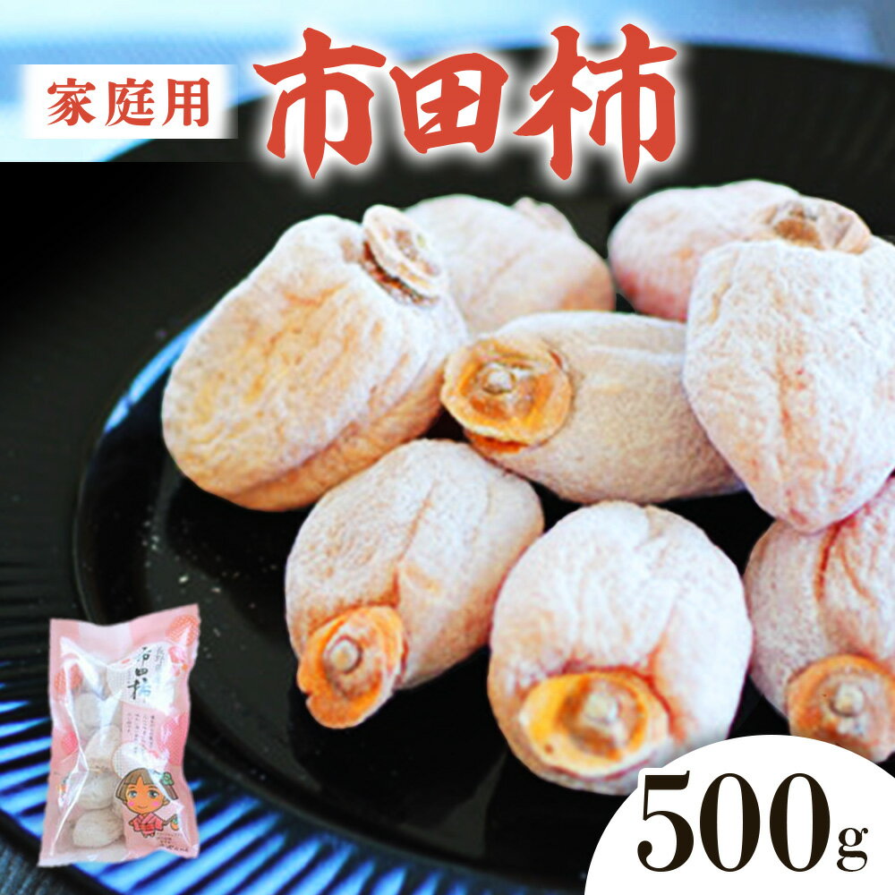【ふるさと納税】【2027年発送先行予約】市田柿　約500g　ご家庭用　＜2027年1月中旬～2月下旬頃発送予定＞　干し柿｜かき｜カキ｜長野県産