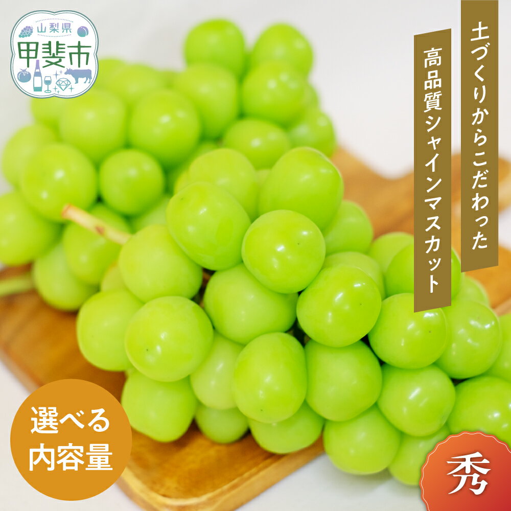 【ふるさと納税】【2025年-令和7年発送分☆先行予約☆】山梨県産 朝採り新鮮 シャインマスカット 1.2kg　 果物 ぶどう フルーツ デザート 旬の果物 国産 　果物 ぶどう フルーツ デザート 食後 おやつ 国産 　シャインマスカット　シャイン　訳あり　家庭用　山梨　お