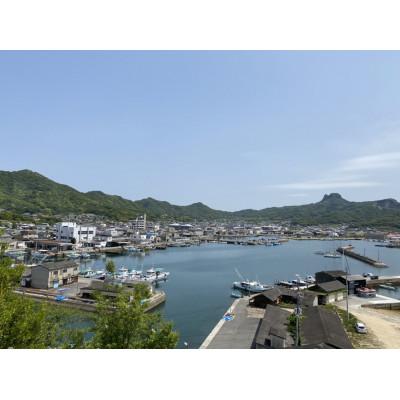 ふるさと納税 高松市 オリーブハマチ　(半身) |  | 01