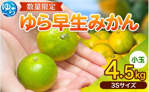 ゆら早生 みかん  ≪小玉≫ 4.5kg (3Sサイズ)  / みかん 小玉サイズ 甘い 蜜柑 フルーツ 果物 くだもの 食品 人気 晩柑 おすすめ 送料無料 産地直送 和歌山 由良町 ※2026年10月中旬頃~2026年10月下旬頃に順次発送予定【kzmn003-3s-4d5A】