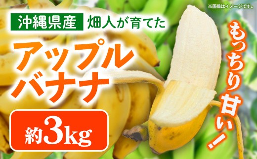 
                  畑人のアップルバナナ 約3kg - バナナ ばなな 小ぶり もっちり とろける 甘さ 追熟 沖縄県 産地直送 果物 フルーツ 南国 朝食 おすすめ 沖縄県 八重瀬町
                