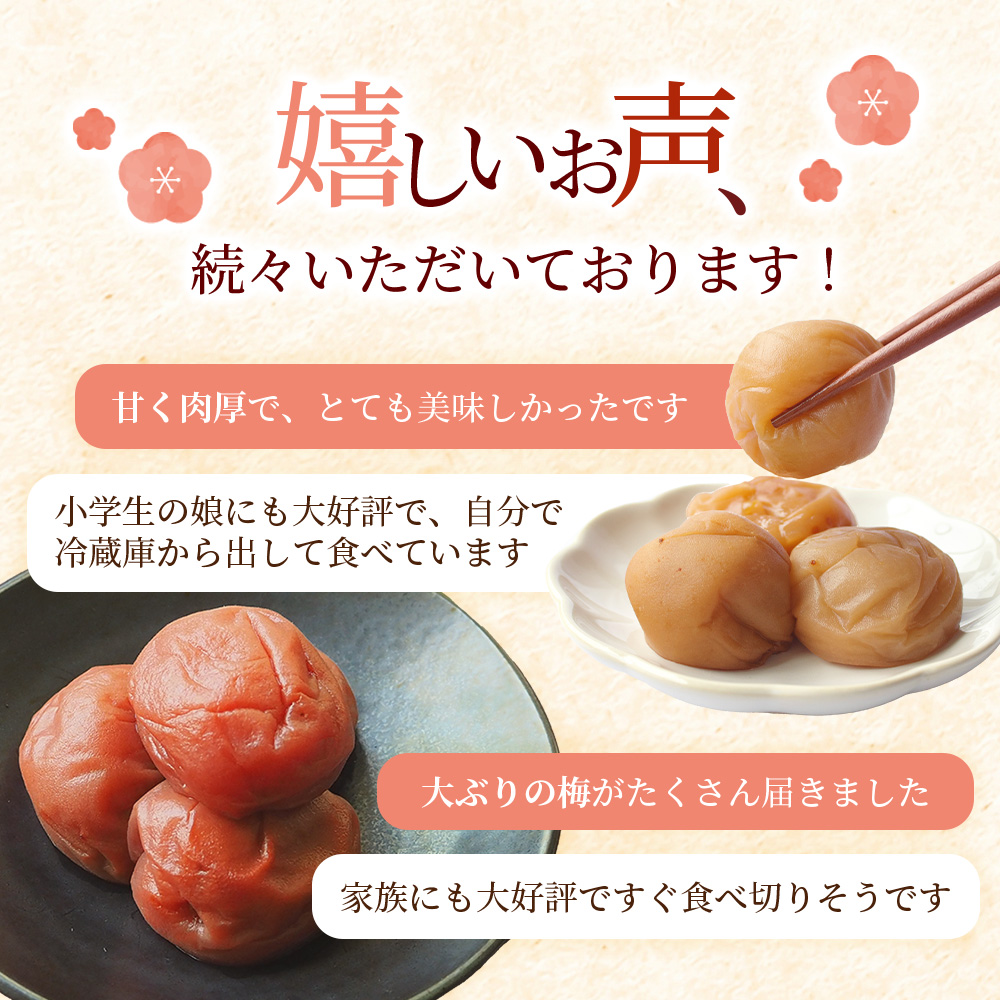 大粒 ★ 紀州南高梅 はちみつ梅(塩分8％) 1kg×1パック / お歳暮 梅干し 梅干 うめぼし 南高梅 はちみつ梅 はちみつ梅干 はちみつ梅干し 蜂蜜 国産 梅 うめ ウメ 紀州みかんはちみつ 完