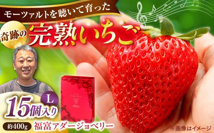 
                  いちご＼先行予約／【2027年1月中旬順次発送】【100個限定】完熟いちご のつ農園 「福富アダージョベリー」 Lサイズ15個入り 島根県松江市/山陰中央テレビジョン放送株式会社 [ALFI004]｜苺 いちご 苺 果物 イチゴ ichigo strawberry ストロベリー 旬 イチゴ フルーツ 果物 いちご ベリー 数量限定 期間限定 人気苺 ふるさと納税苺 おすすめ苺 ギフト
                