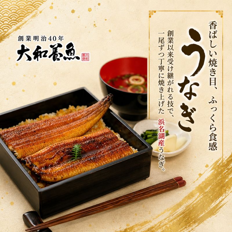 訳あり 浜名湖うなぎ蒲焼 80g×3尾 真空パック 冷蔵【浜名湖