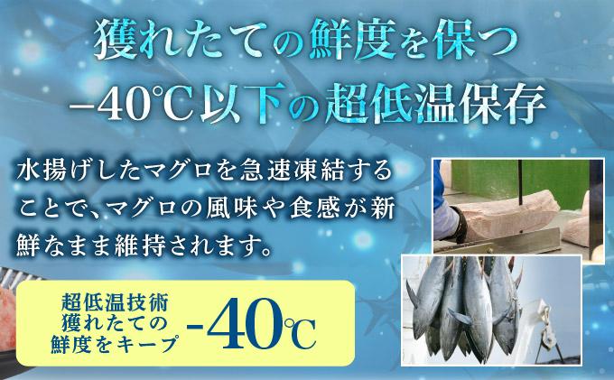 まぐろたたき 100g×12P LZ007