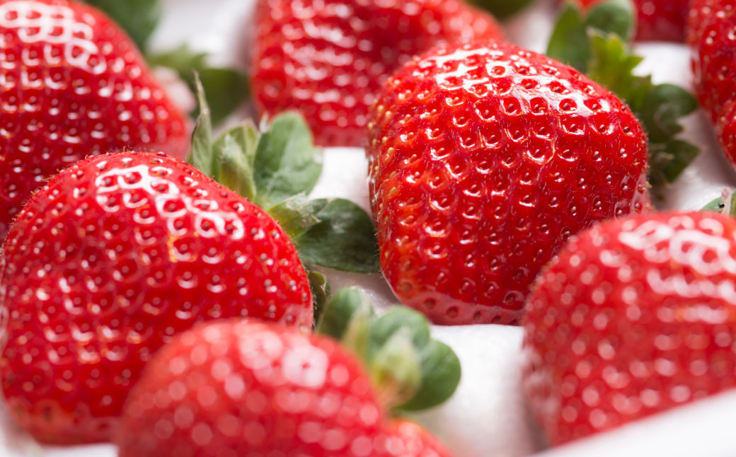 【ギフト】 あまおう 24～30粒