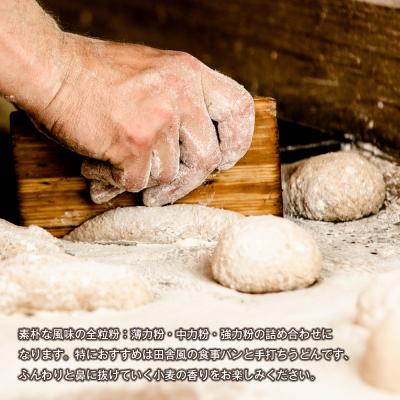 ふるさと納税 淡路市 淡路市尾崎産　全粒粉小麦粉 詰合わせセット(やば恋 小麦)　ah26001 |  | 02