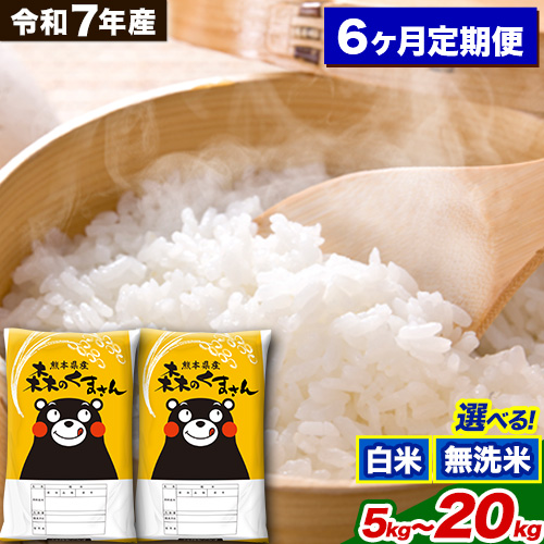 【6ヶ月定期便】令和7年産 白米 無洗米 森のくまさん 5kg 10kg 20kg《お申込み翌月から出荷》 熊本県産 白米 精米 米 こめ コメ お米 kome