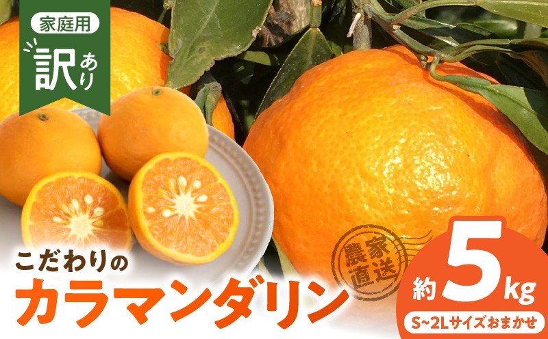 
                  【2027年先行予約】こだわりの カラマンダリン 【訳あり 家庭用】 約5kg _ZT6211n
                