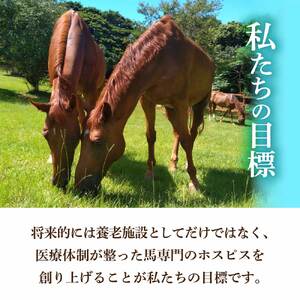 引退馬 余生支援 100,000円コース 返礼品なし 養老馬 競走馬 引退競走馬 馬支援 競馬 馬 うま ウマ 馬支援 動物 あしずりダディー牧場 高知県 土佐清水市【R01532】