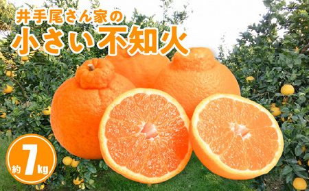 S086-004A_井手尾さん家の小さい不知火 約7kg 　家庭用〈先行予約〉