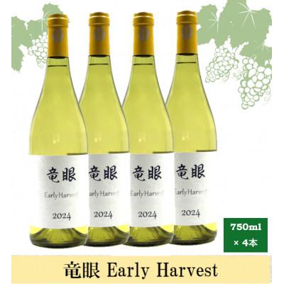 ふるさと納税 長野市 ワイン 竜眼 Early Harvest 750ml×4本