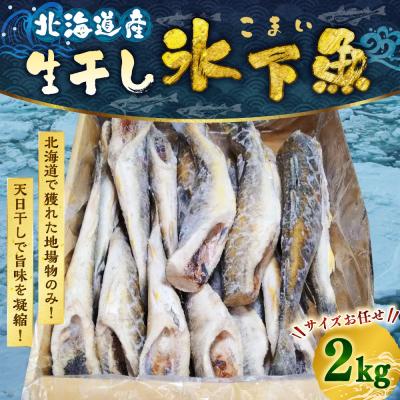 ふるさと納税 釧路市 干し氷下魚(サイズお任せ)1kg×2ケース こまい コマイ 魚 白身魚 おつまみ F4F-2597
